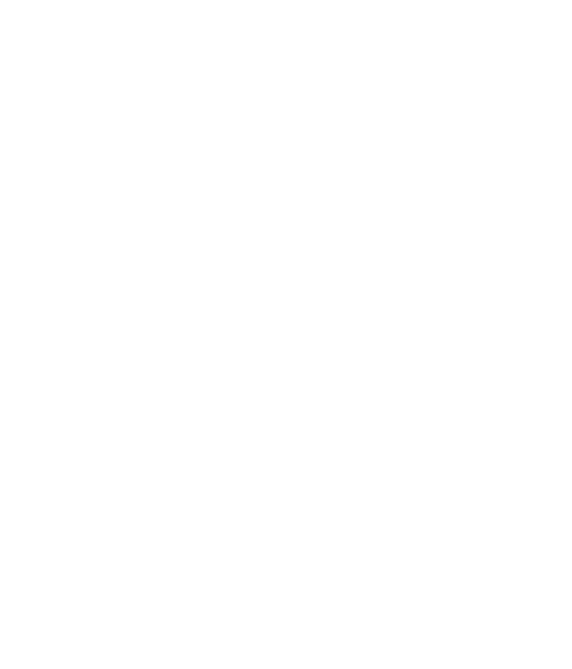 Texas Tech University University logo