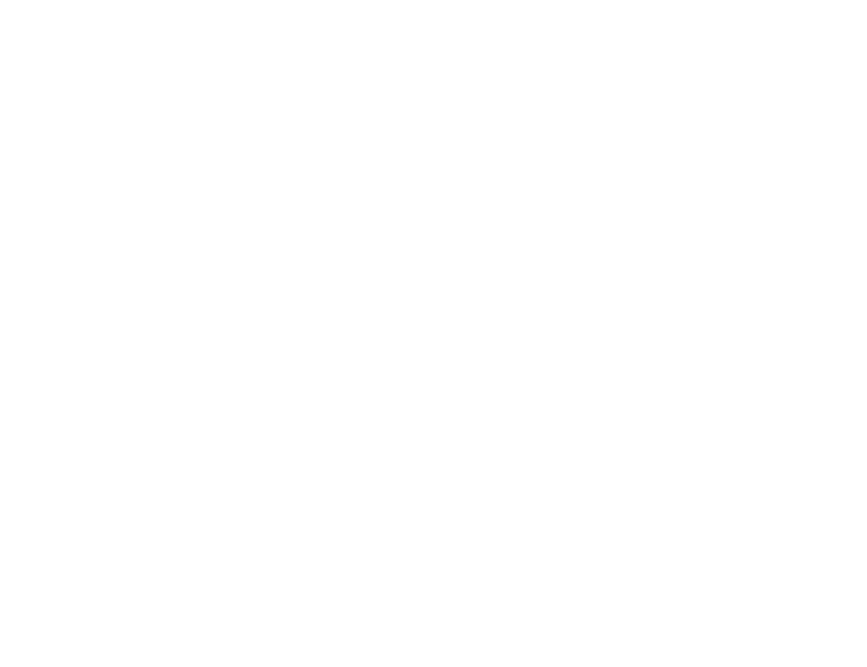 The University of Texas University logo