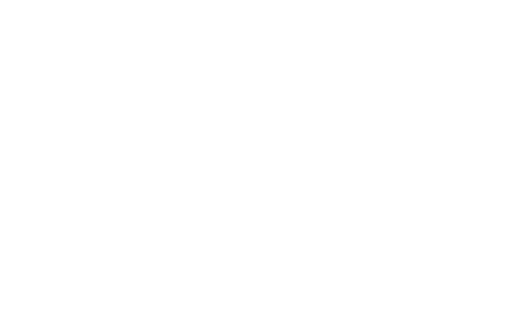 University of North Texas Logo