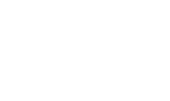 University of Georgia Logo