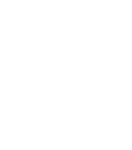 Florida State University University logo