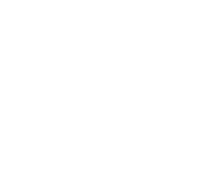 University of Houston University logo