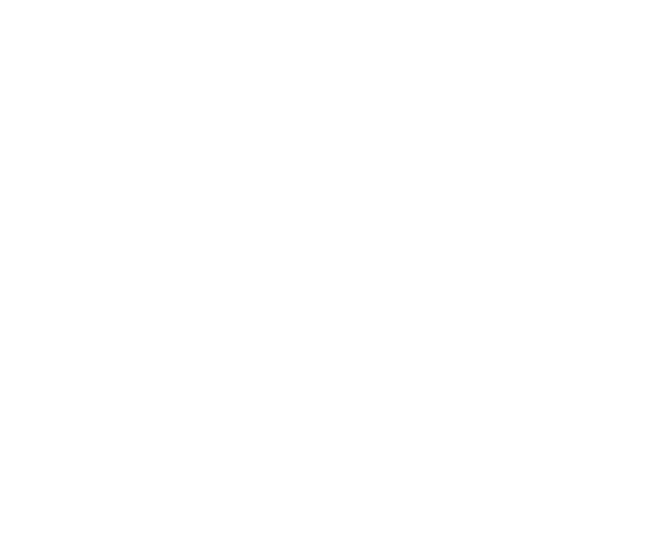 The University of Arizona University logo