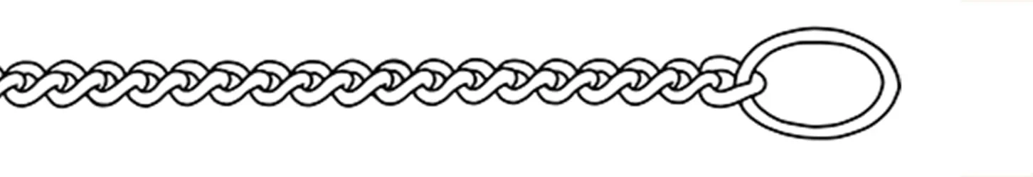 Sketch of Fine Curb chain