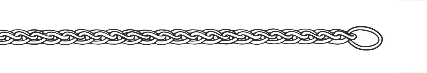 Sketch of Fine Spiga chain